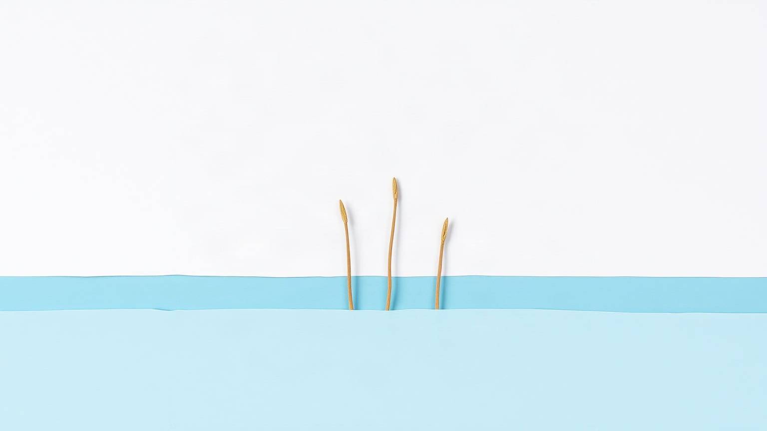Three thin sand-coloured stems rising between a pale sky and a band of blue water
